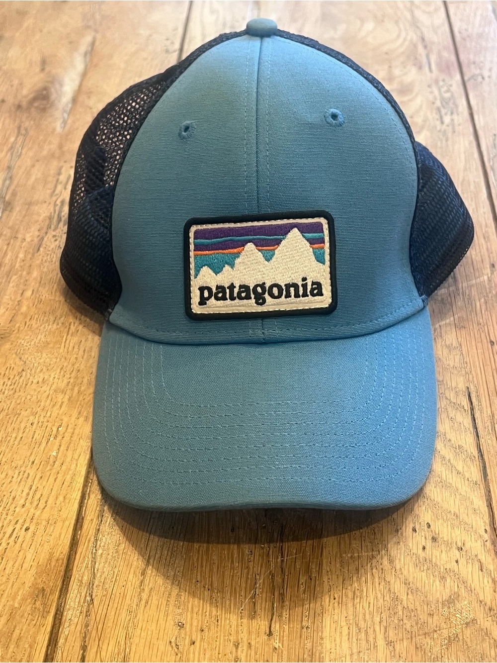 Patagonia Unisex Teal Front Trucker Hat with Black Mesh